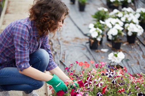 Gardener inspecting a front garden before work