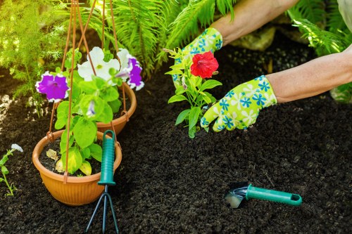 A close-up view of a garden bed within a well-maintained outdoor space, featuring dark, freshly turned soil with a pair of hands wearing colourful, floral-patterned gardening gloves planting a small, vibrant red flowering plant. To the left, there are several hanging terracotta pots containing lush green plants, including white and purple petunias, suspended from a structure off-screen. Nearby, a small hand trowel with a green handle rests on the soil, indicating ongoing planting activity. In the background, the garden includes various green leafy plants and ferns, contributing to a vibrant and healthy garden environment. This scene is set in a typical residential garden, emphasizing careful planting and gardening care, reflecting professional gardening services in Penge, and highlighting the natural textures of soil, foliage, and flower colours typical of UK gardens at this time of year.