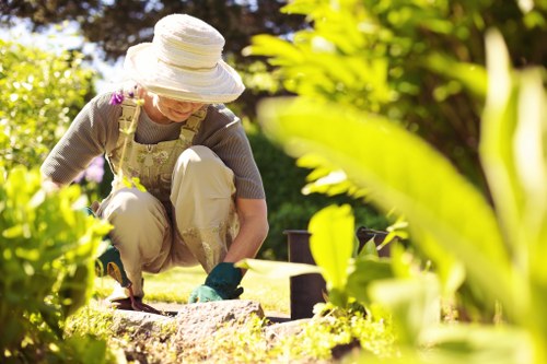 Gardener arranging plants in a Penge garden
