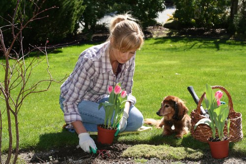 A woman with blonde hair tied back, dressed in a plaid shirt and jeans, is kneeling on a well-maintained green lawn in her garden, tending to flower pots containing pink tulips. She is wearing gardening gloves and appears to be planting or adjusting the flowers. To her right, a small brown puppy is sitting attentively next to a woven basket filled with gardening tools and a few more tulip pots. The garden features a neatly cut lawn, a small leafless shrub in the foreground, and a backdrop of lush trees and bushes, providing shade and privacy. The scene is illuminated by natural sunlight, suggesting a clear, bright day with fresh, natural tones of green grass, the pink flower blooms, and the earthy colors of soil, basket, and gardening equipment. This outdoor space exemplifies a well-kept, landscaped garden typical of residential homes in Penge, with a focus on flower cultivation and lawn care maintained by professional gardening services.
