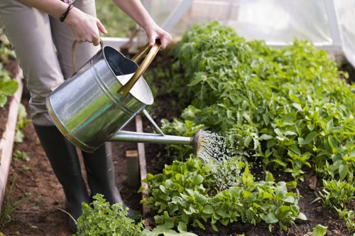 Accessible gardening tools arranged neatly