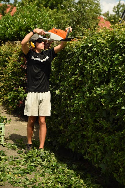 A young man wearing protective headphones, sunglasses, a black T-shirt with white stripes, and light-colored shorts is trimming a lush green hedge with electric hedge shears in a well-maintained garde